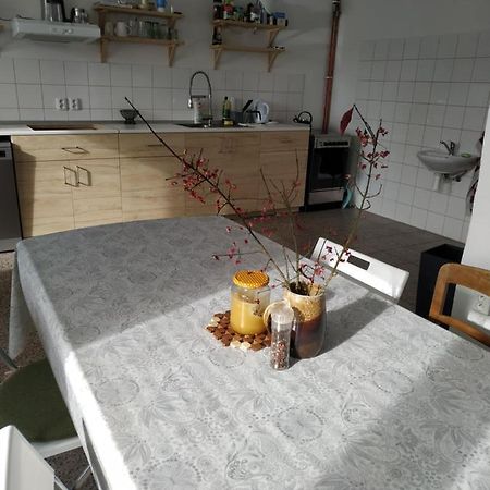 Apartman V Anenskem Udoli Moravská Třebová Dış mekan fotoğraf