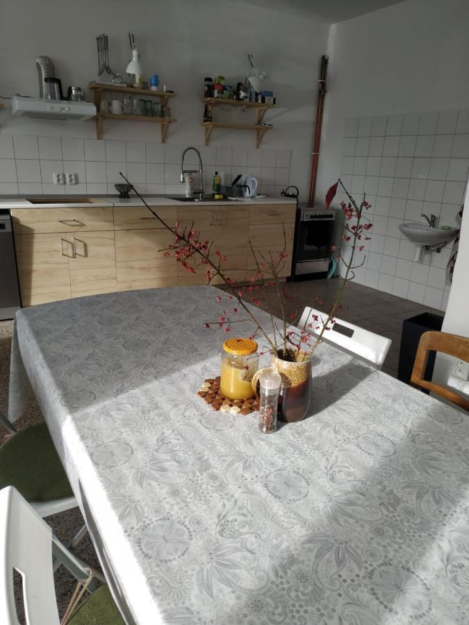 Apartman V Anenskem Udoli Moravská Třebová Dış mekan fotoğraf
